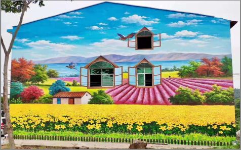 阳新乡村墙体彩绘