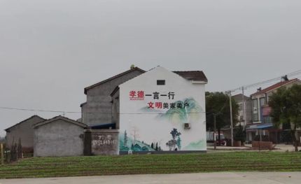 阳新新农村墙绘